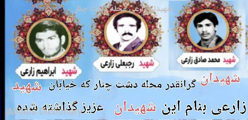 شهیدان زارعی محله دشت چنار